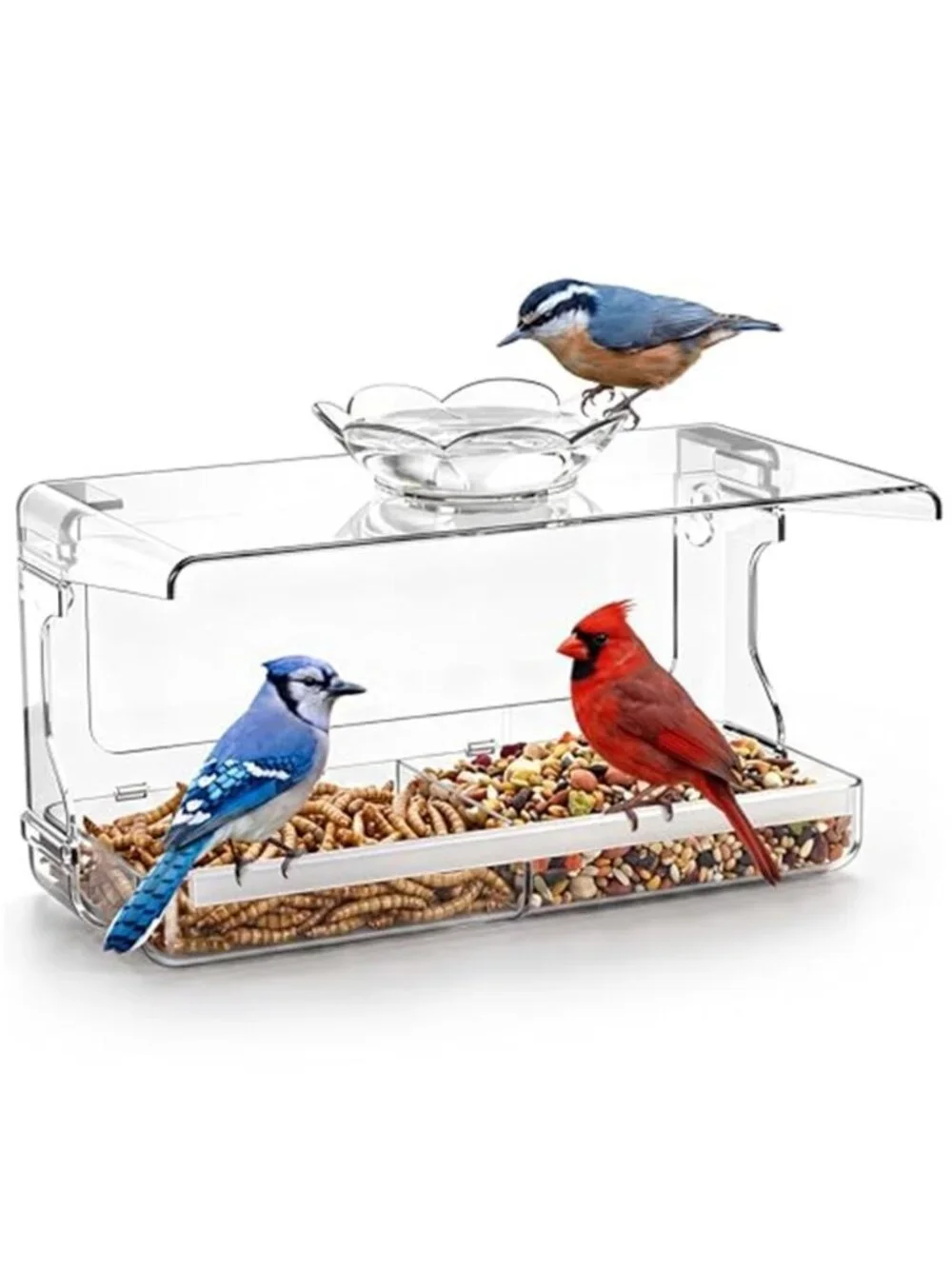 Window Bird Feeder with Non-Marking Self-Adhesive Hooks, Clear and Transparent